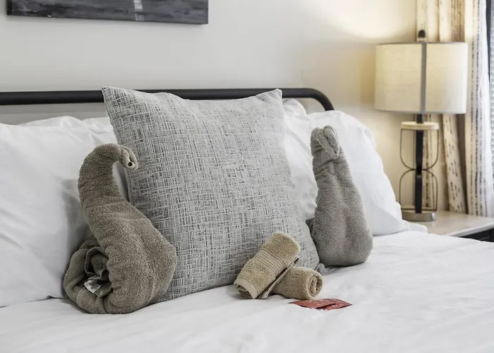 Stockyards- 4min Pet Friendly 3br Luxe Gem